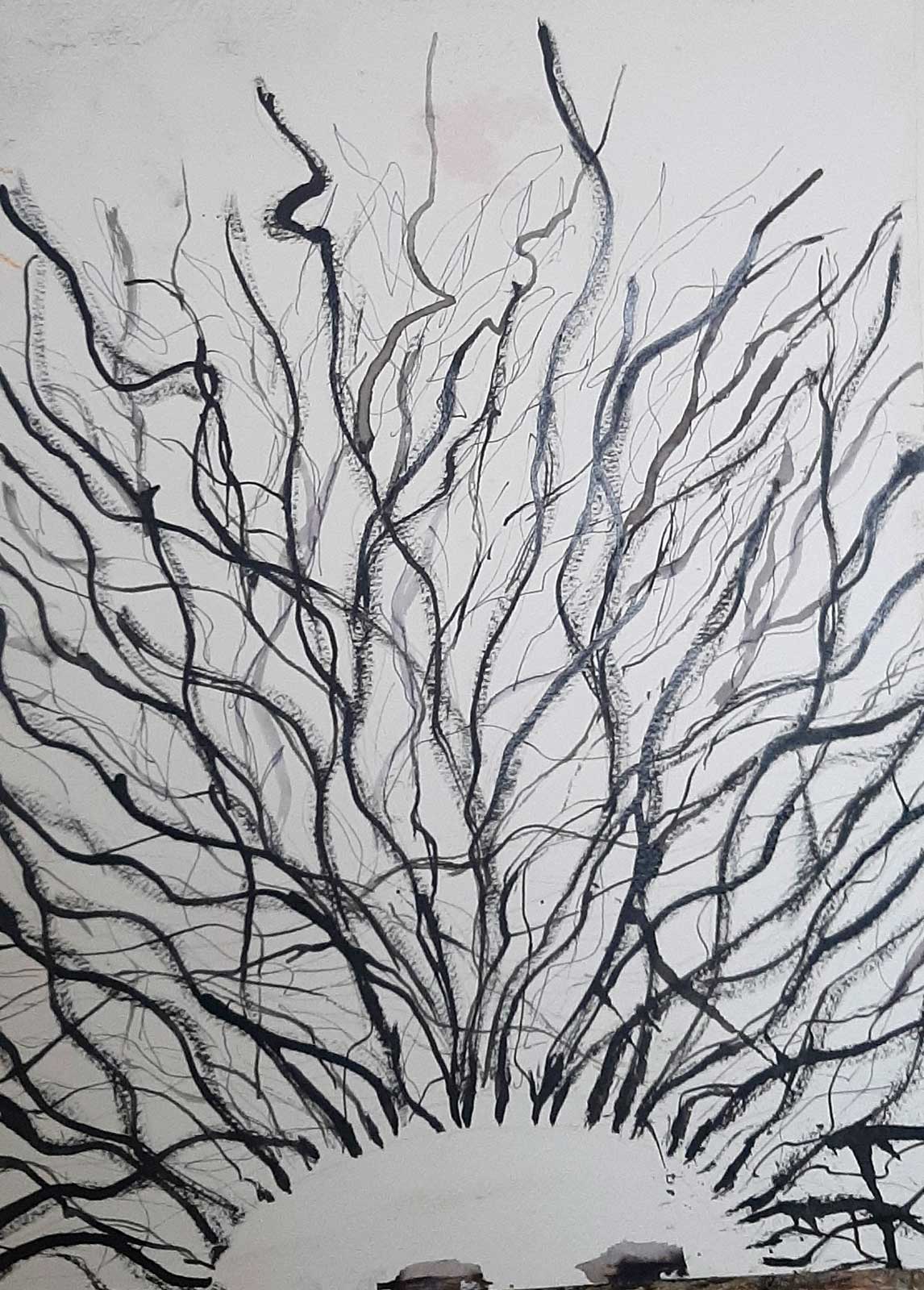 wortelkop, houtskool